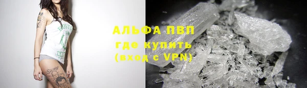 спайс Вяземский