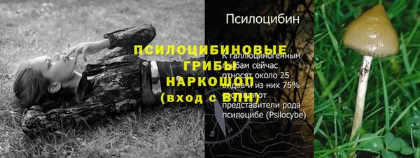 спайс Вяземский