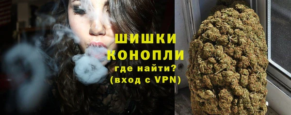 PSILOCYBIN Горнозаводск