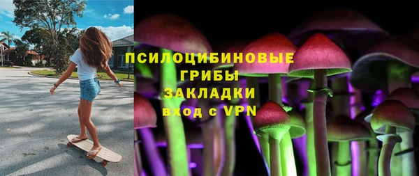 PSILOCYBIN Горнозаводск
