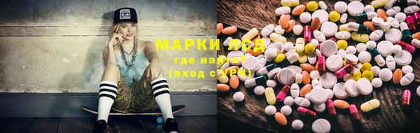 спайс Вяземский
